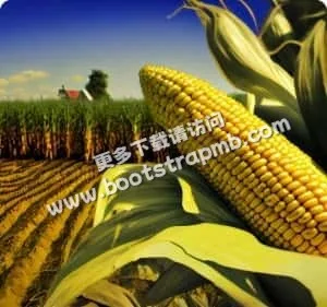 深耕製造，鑄就非凡品質 - 亚星官网kaihangyi