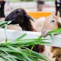探索製造的無限可能 - 亚星官网kaihangyi